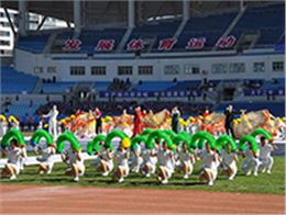 思腾体育助力葫芦岛市第六届全民运动会隆重开幕